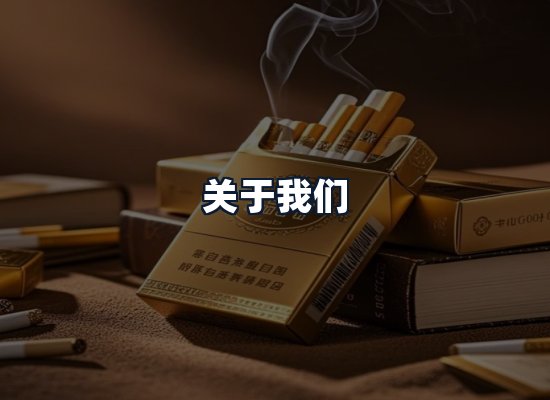 关于我们